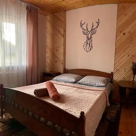 ніч над карпатами Guest house Slavske