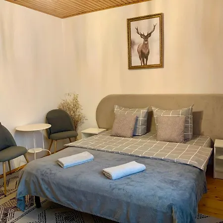 ніч над карпатами Guest house *