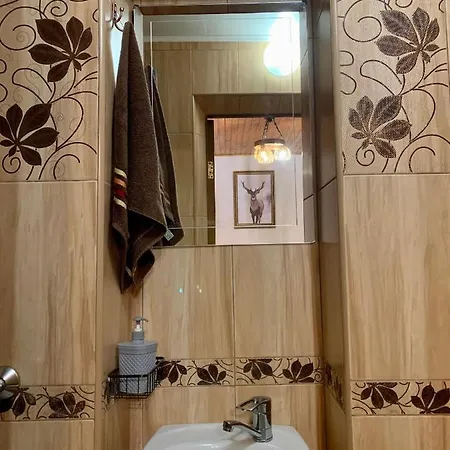 בית הארחה ніч над карпатами סלאבסקה