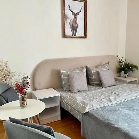 ніч над карпатами בית הארחה סלאבסקה