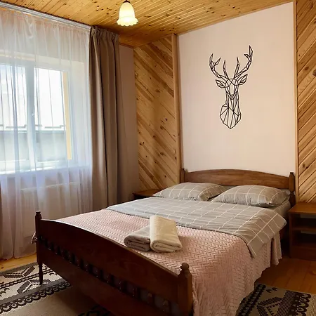 ніч над карпатами *