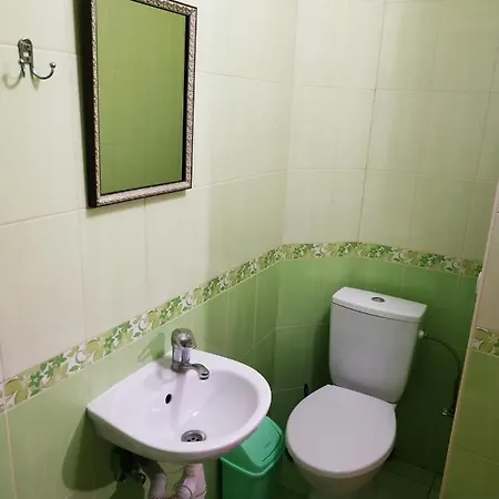 ніч над карпатами Guest house