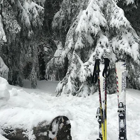 ніч над карпатами