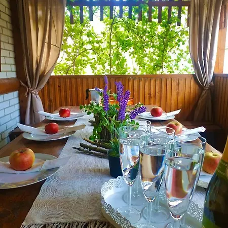 Guest house ніч над карпатами Slavske