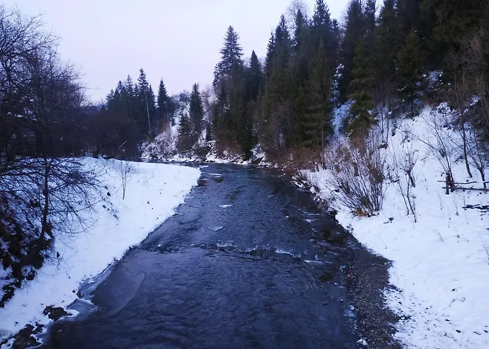 ніч над карпатами *